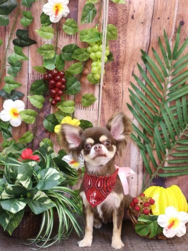 20230803くるみちゃん